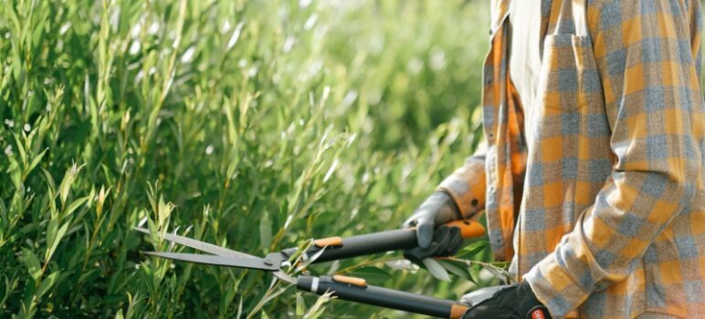 Faire attention aux accidents de jardinage