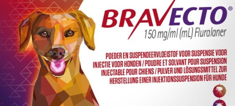 Où trouver Bravecto sans ordonnance ?