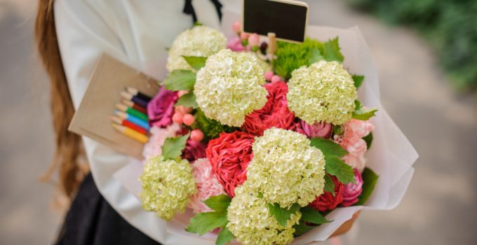 offrir des hortensias